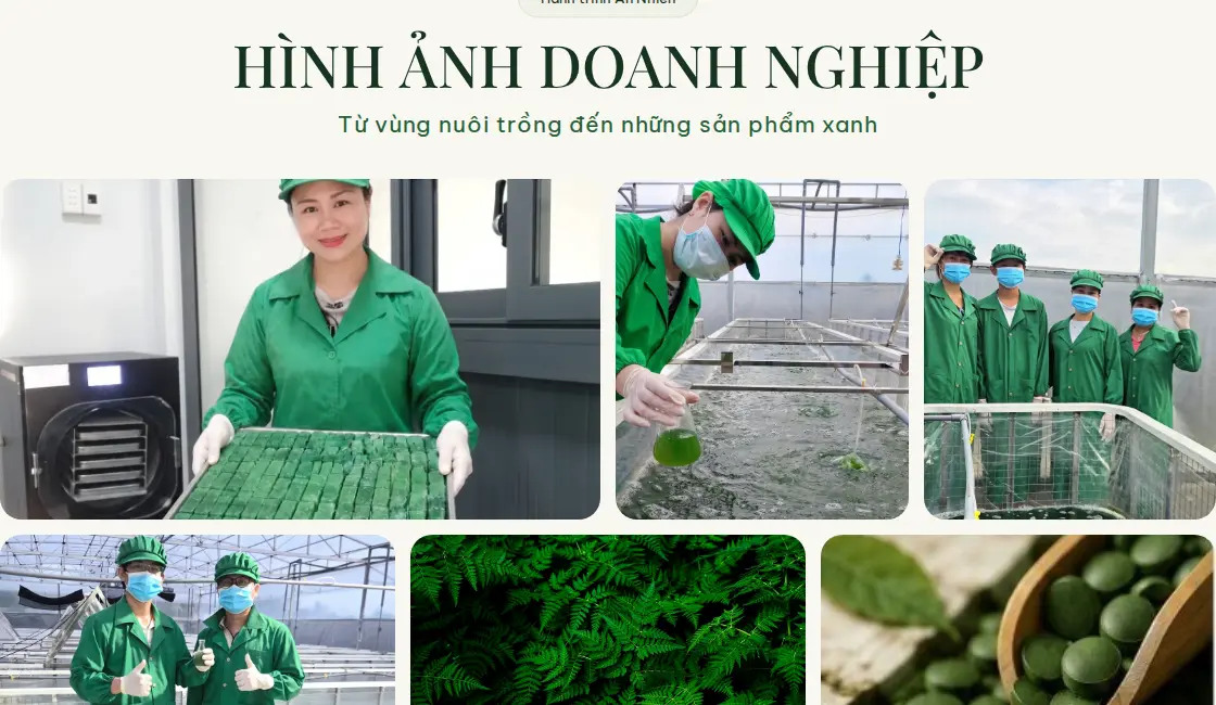 Từ vùng nuôi sạch đến sản phẩm An Nhiên