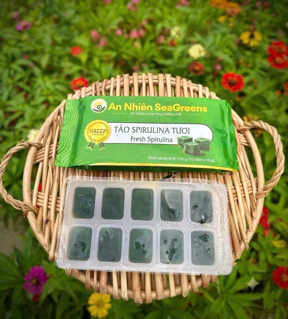 TẢO SPIRULINA TƯƠI - hình 2